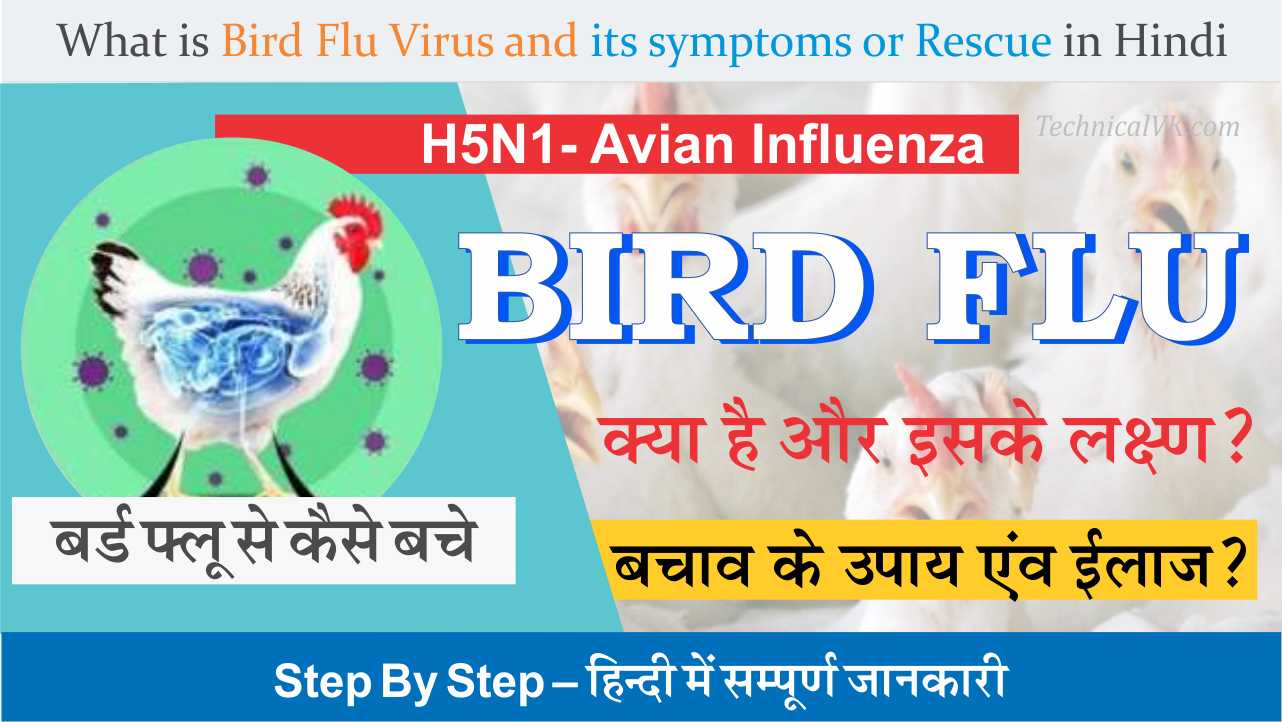 Bird Flu क्या है ? इसके कारण, लक्षण एवं बचाव के उपाय